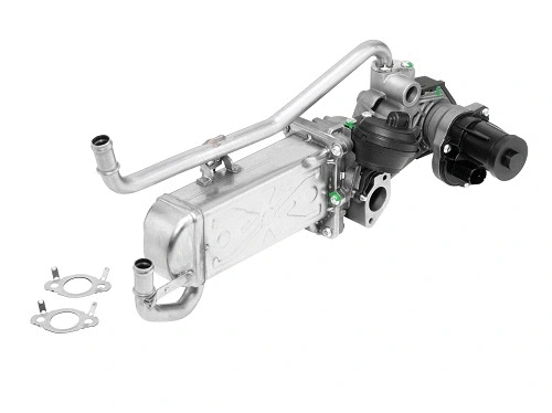EGR Module (710863R)