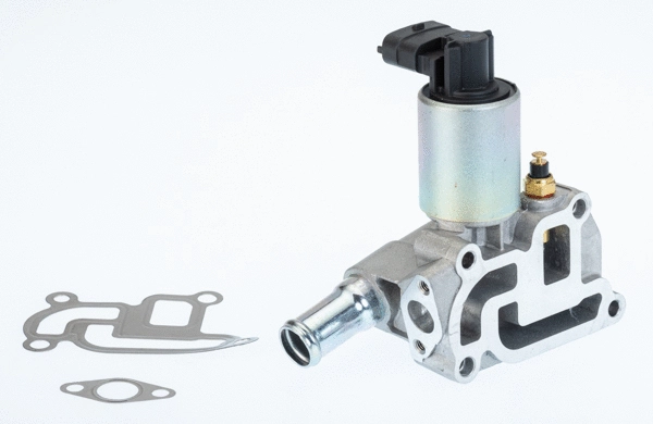 EGR Valve (710775D)