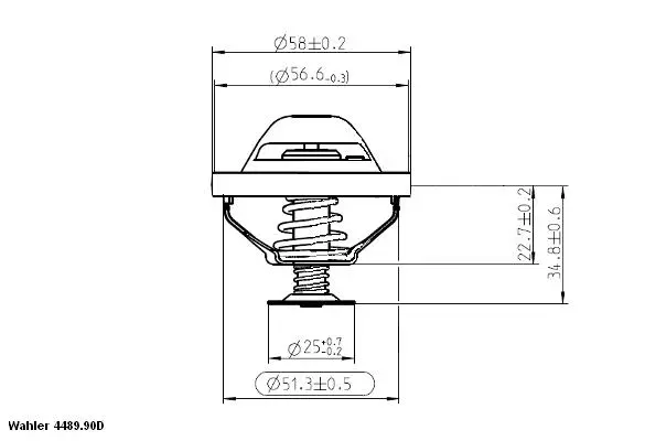 Thermostat, coolant (4489.90D)