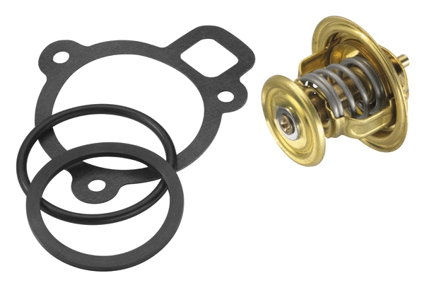 Thermostat, coolant