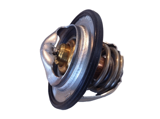Thermostat, coolant (411193.82D)