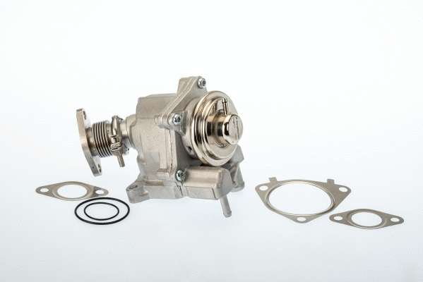 EGR Valve (7631D)