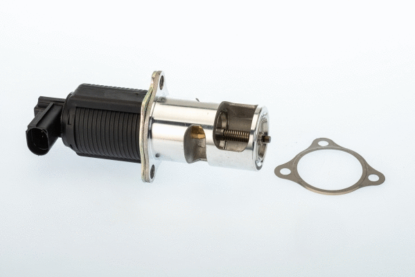 EGR Valve (710950R)