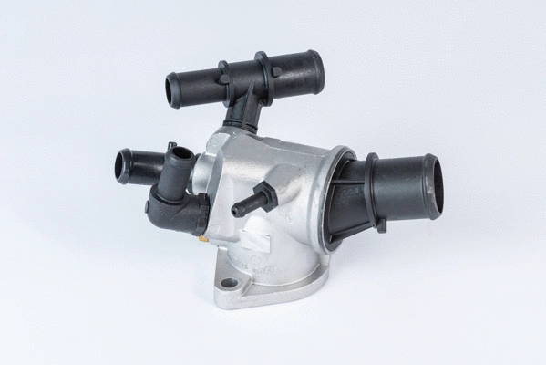Thermostat, coolant (411973.88D)