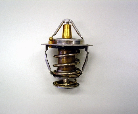 Thermostat, coolant (410176.82D0)