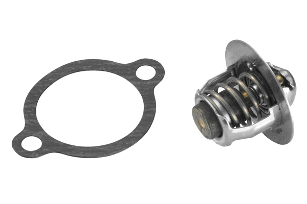 Thermostat, coolant (410228.82D)