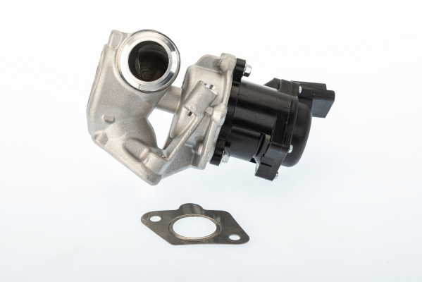 EGR Valve (710929D/1)