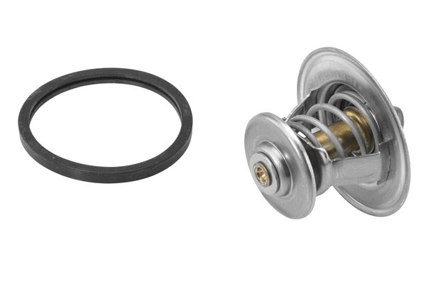 Thermostat, coolant