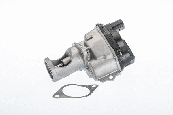 EGR Valve (710981R)