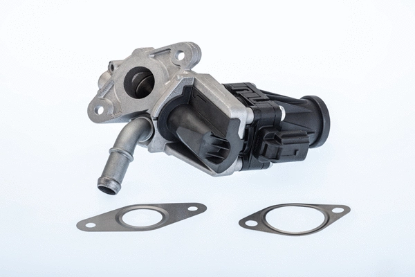 EGR Valve (710979R)