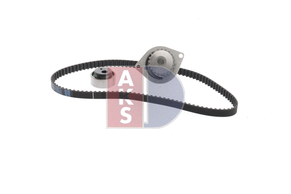 Water Pump & Timing Belt Kit (570349N)