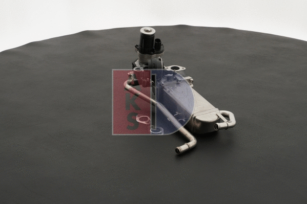 EGR Module
