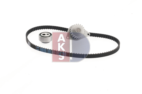 Water Pump & Timing Belt Kit (570277N)