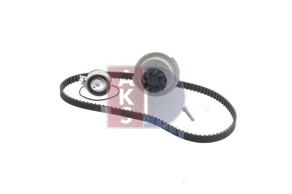 Water Pump & Timing Belt Kit (570275N)