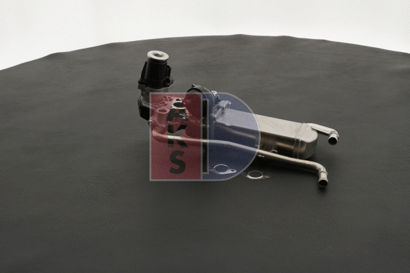 EGR Module