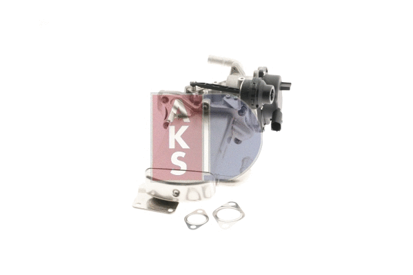 EGR Module