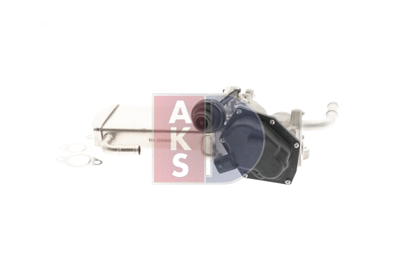EGR Module