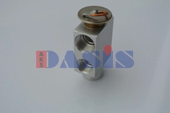 Expansion Valve, air conditioning (840290N)