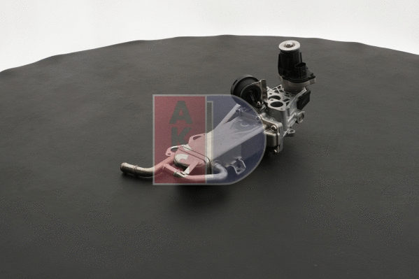 EGR Module