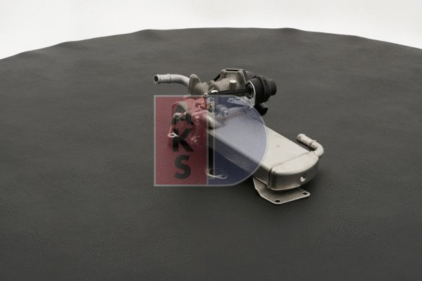 EGR Module