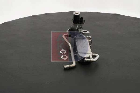 EGR Module