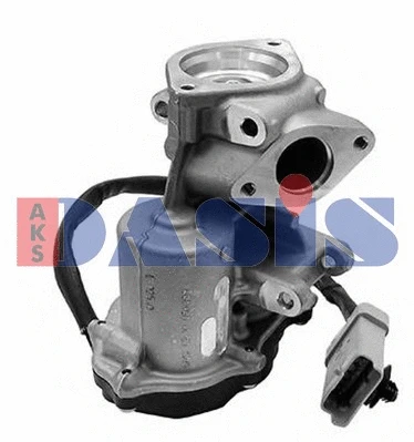 EGR Valve (020024N)