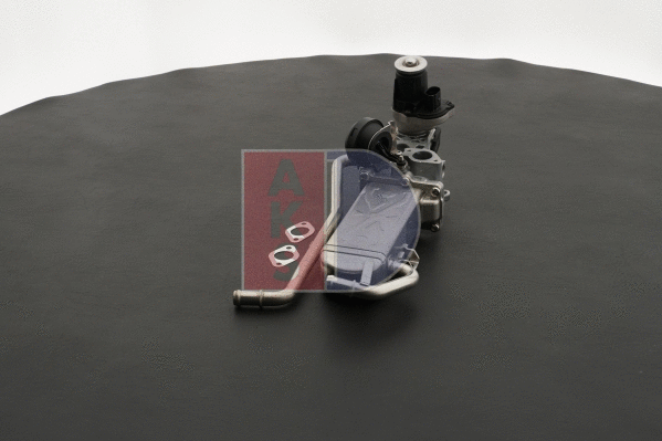 EGR Module