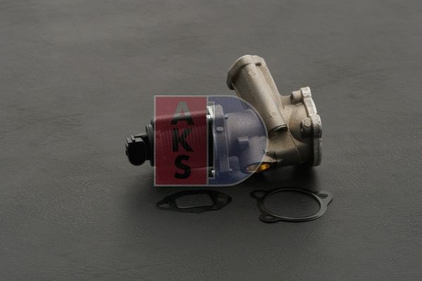 EGR Valve