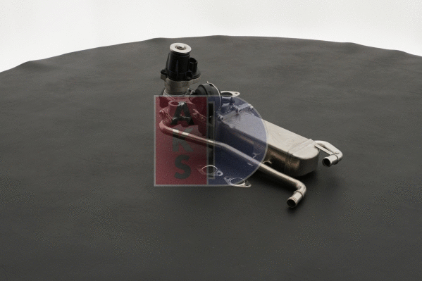 EGR Module