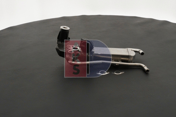 EGR Module