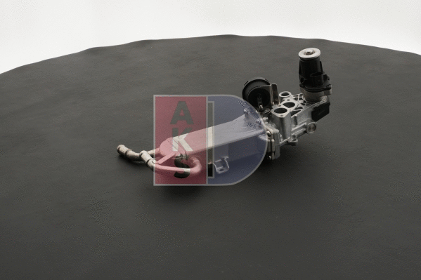 EGR Module