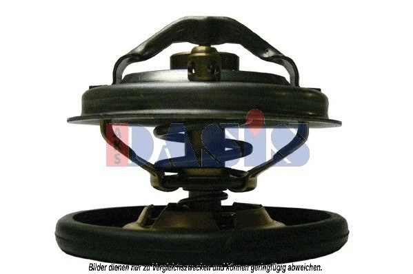 Thermostat, coolant (751905N)