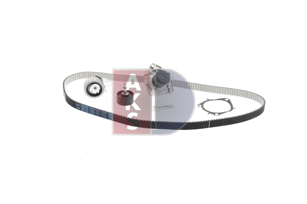 Water Pump & Timing Belt Kit (570339N)