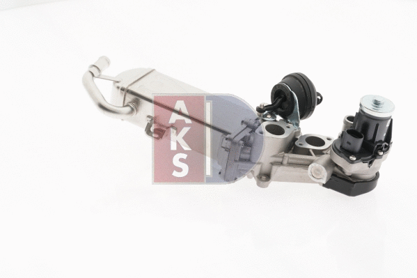 EGR Module