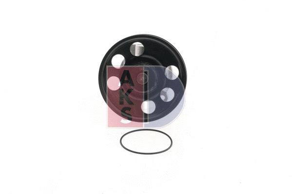 Water Pump, engine cooling (570620N)