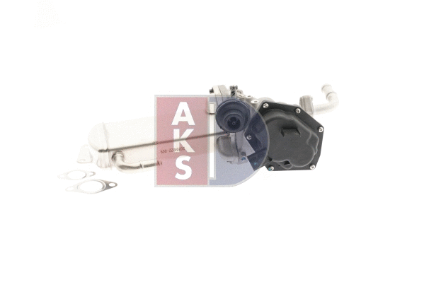 EGR Module