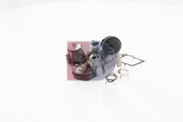EGR Valve