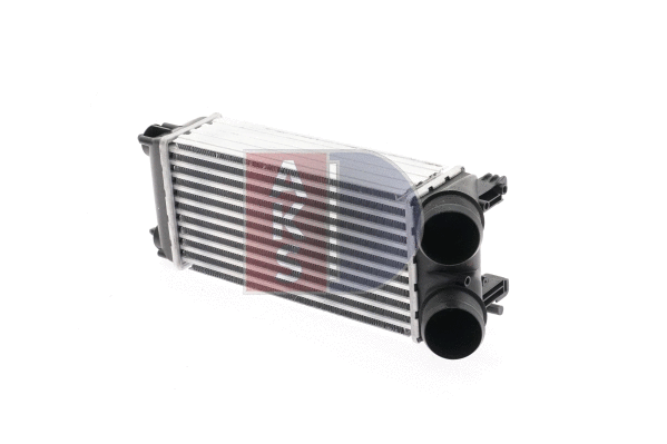 Charge Air Cooler (167009N)
