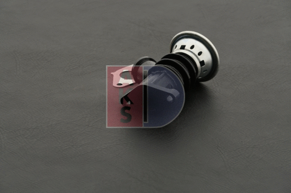 EGR Valve