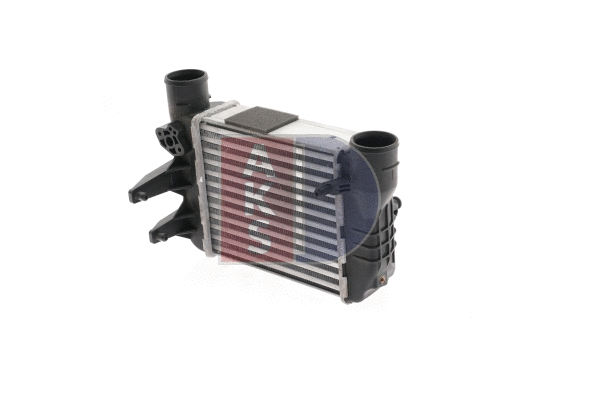 Charge Air Cooler (487230N)