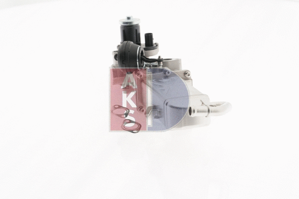 EGR Module