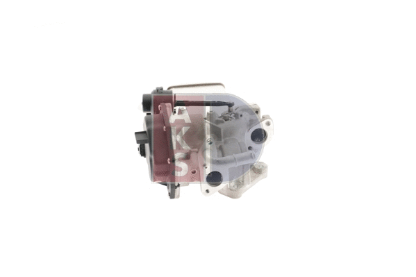 EGR Module