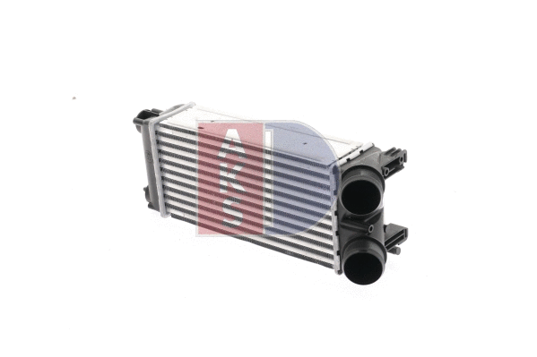 Charge Air Cooler (167008N)