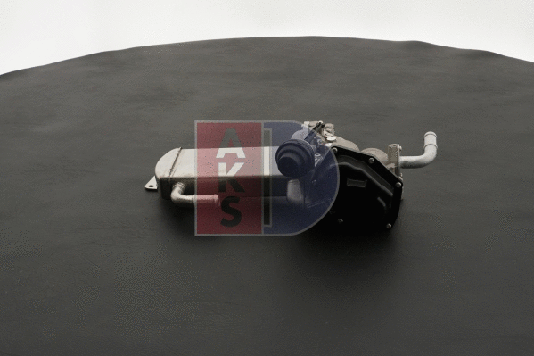 EGR Module