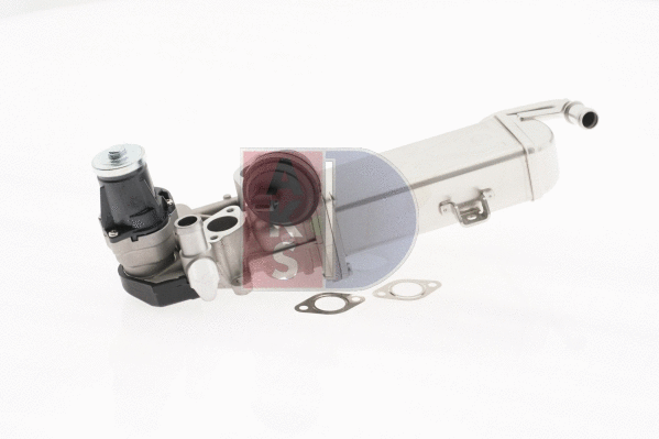 EGR Module