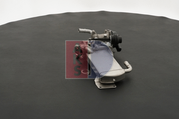 EGR Module