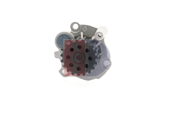 Water Pump, engine cooling (570029N)