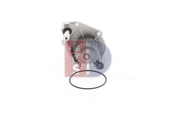 Water Pump, engine cooling (570425N)