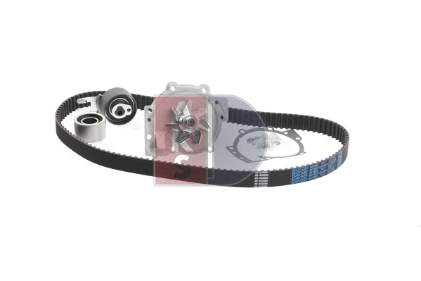 Water Pump & Timing Belt Kit (570341N)