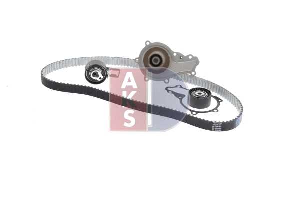 Water Pump & Timing Belt Kit (570319N)